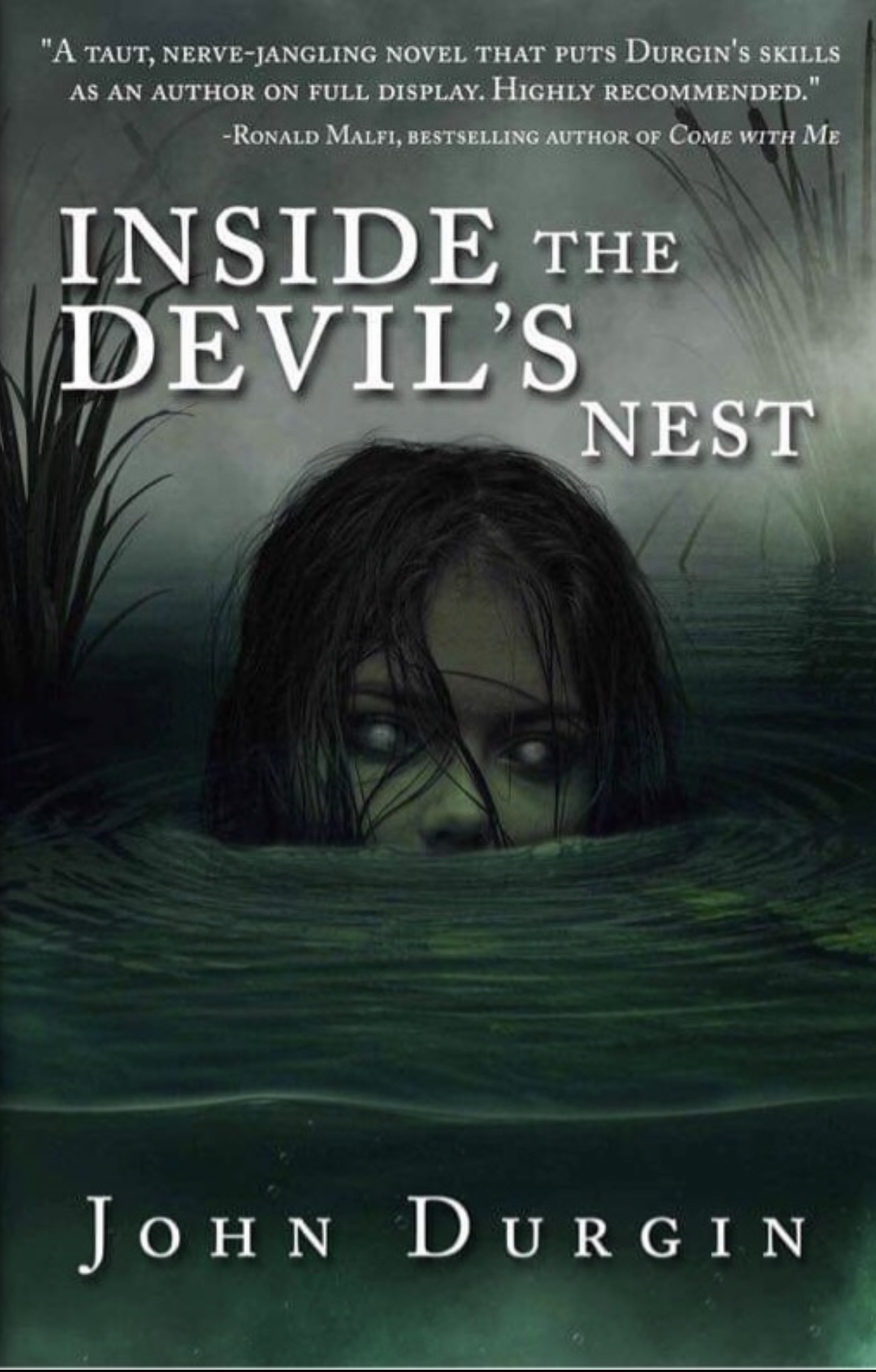Inside The Devil's Nest by John Durgin