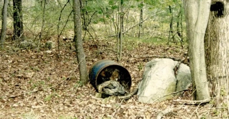 Bear Brook State Park barrel, 1985
